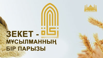 Зекетке қатысты өзге қандай мәселелер бар?